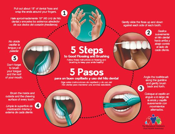 Follow these steps to good flossing and brushing.